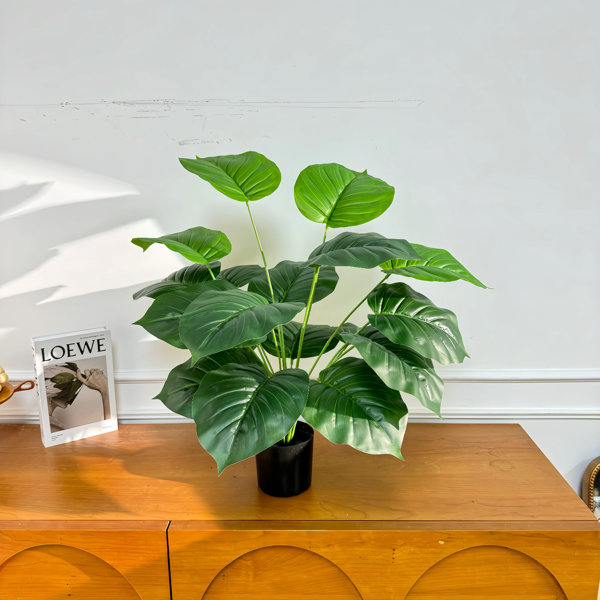 Primrue 31.5" Faux Plant Pothos In Black Pot with Dried Moss, Adcock